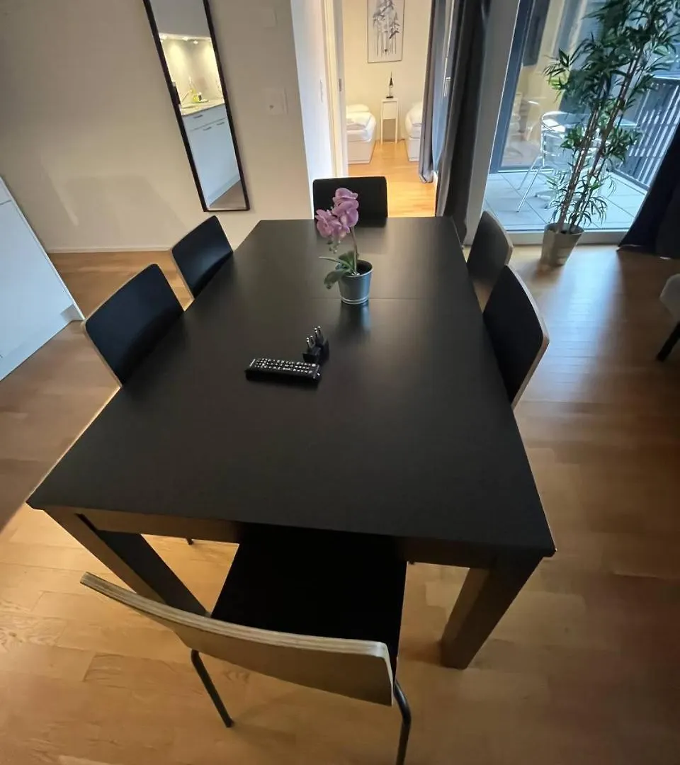 Apartmán Esc Comfort Studio 2 Bed Basilej 0*,  Švýcarsko